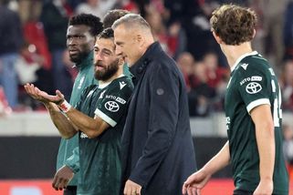 Jablonec - Brighton | FOTBAL ONLINE: Severočeši v Konferenční lize - Sport.cz